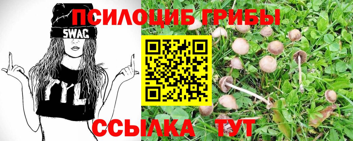 Магадан  LSD-25  МЕФ кристаллы  Вход с VPN  ГАШ  ГАШ  Cocaine  Канабис  Экстази  NBOMe 
