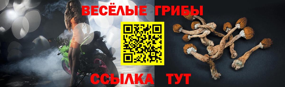 Магадан  Псилоцибиновые грибы прущие грибы  Вход с VPN 